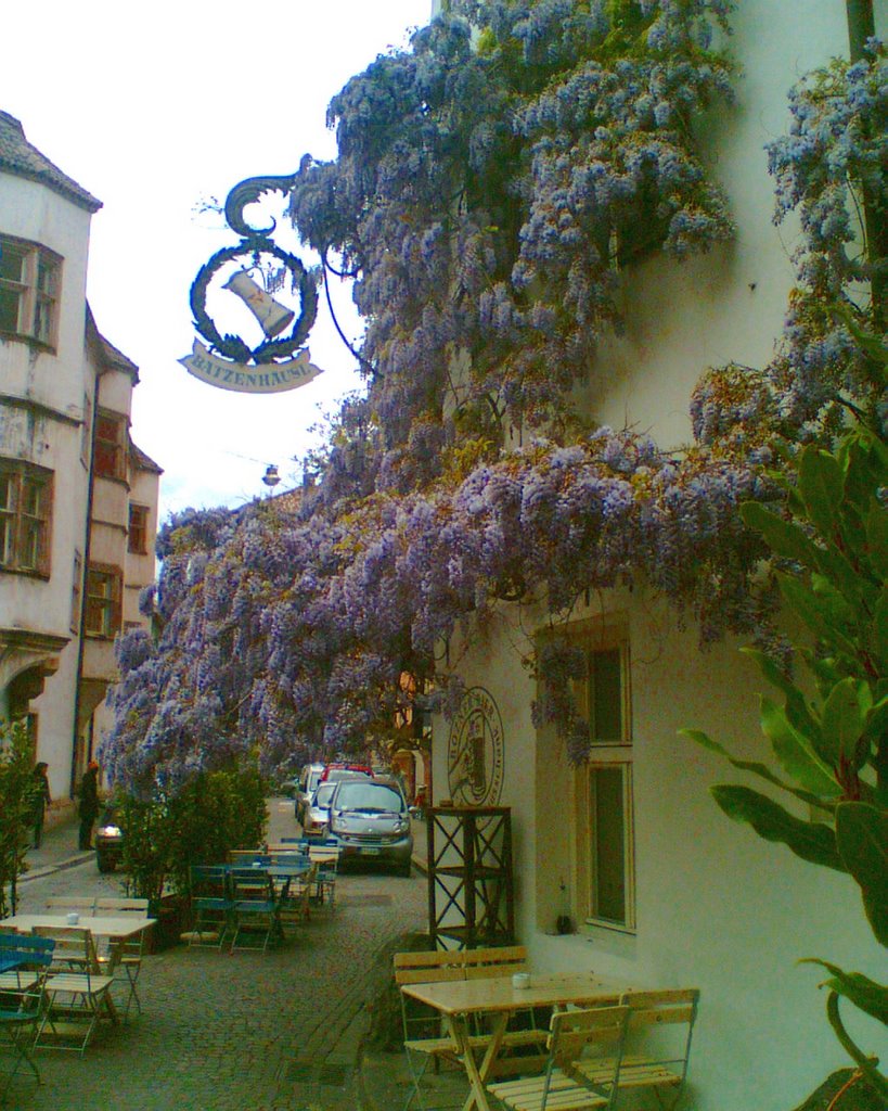 Batzenhäusl www.batzen.it