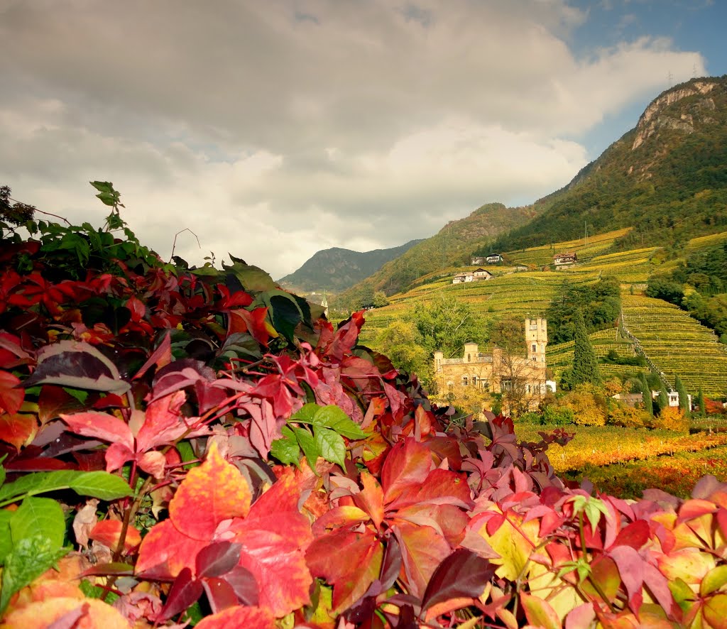 Pennellate dautunno
