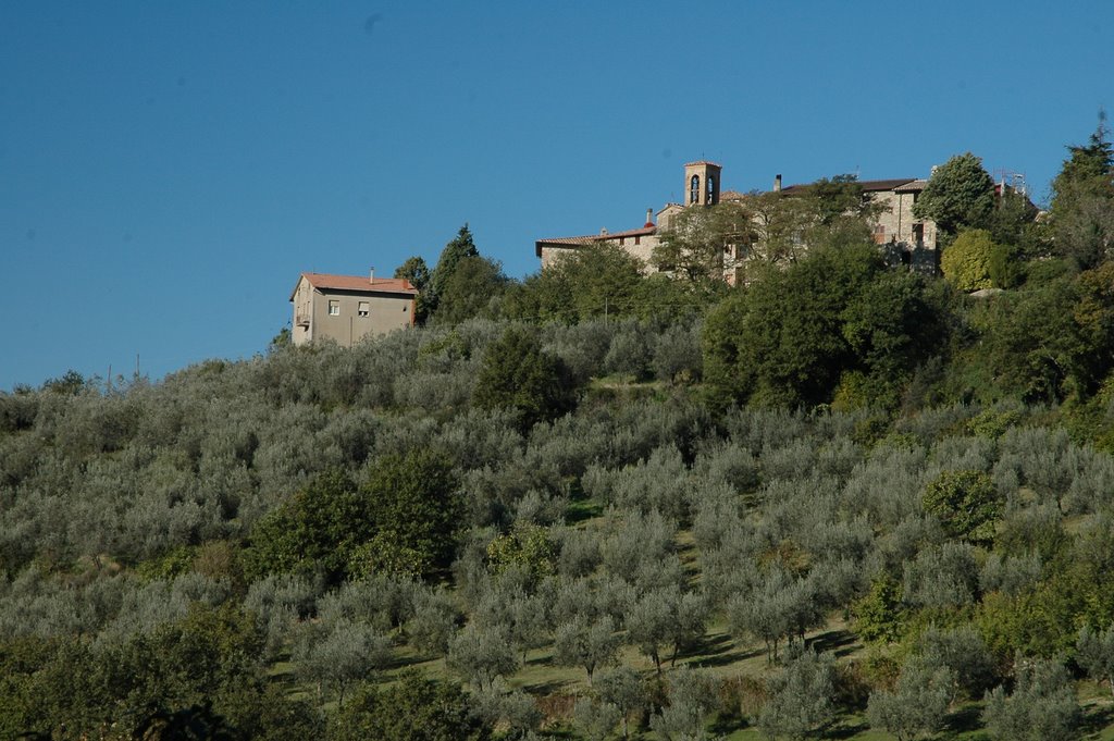 Canalicchio