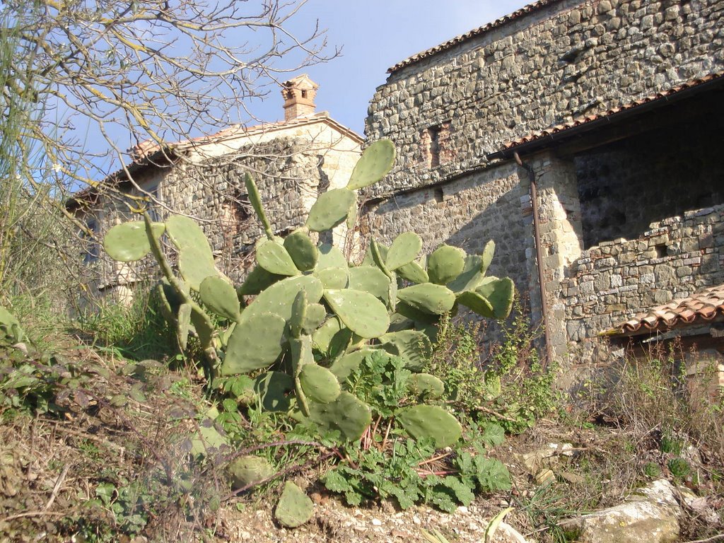 S. Lorenzo
