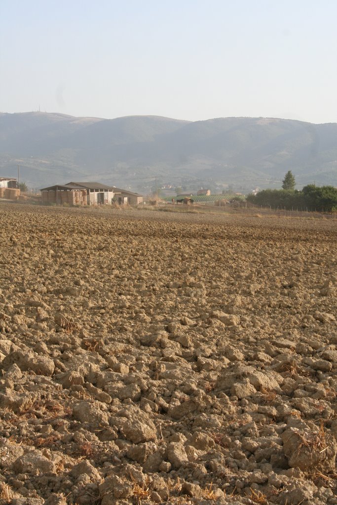 2008 - gualdo cattaneo