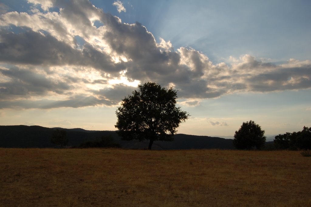Collemancio view