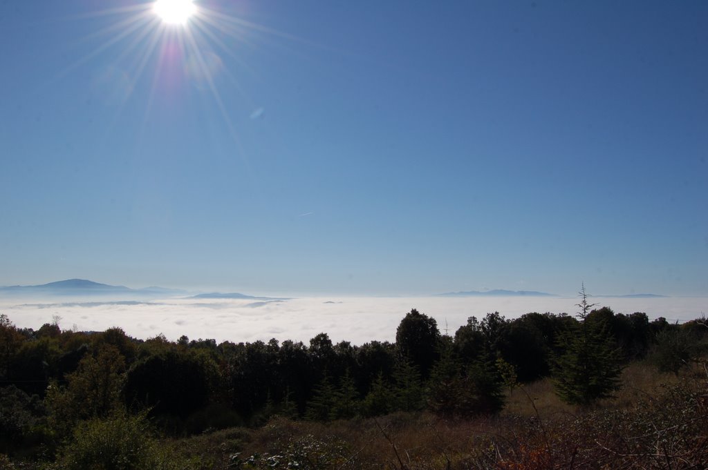 Bettona - Cinque cerri - upper the fog