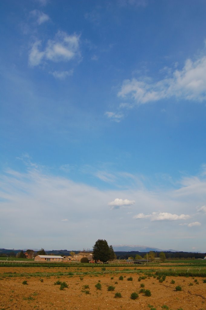 San Martino in Campo - summer view