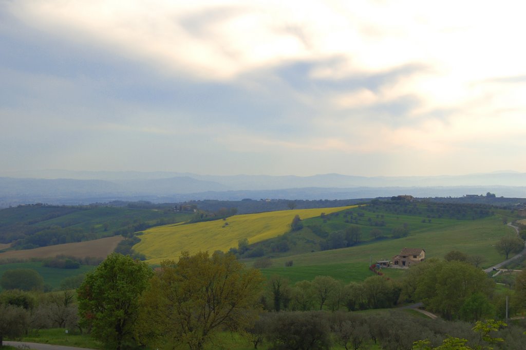 Casalalta - Tevere river valley