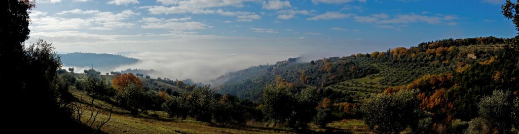 Nebbia e colline umbre
