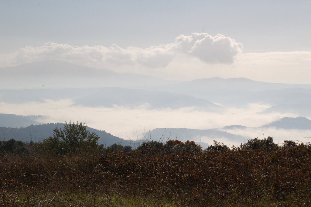 Bettona - cinque cerri - view3