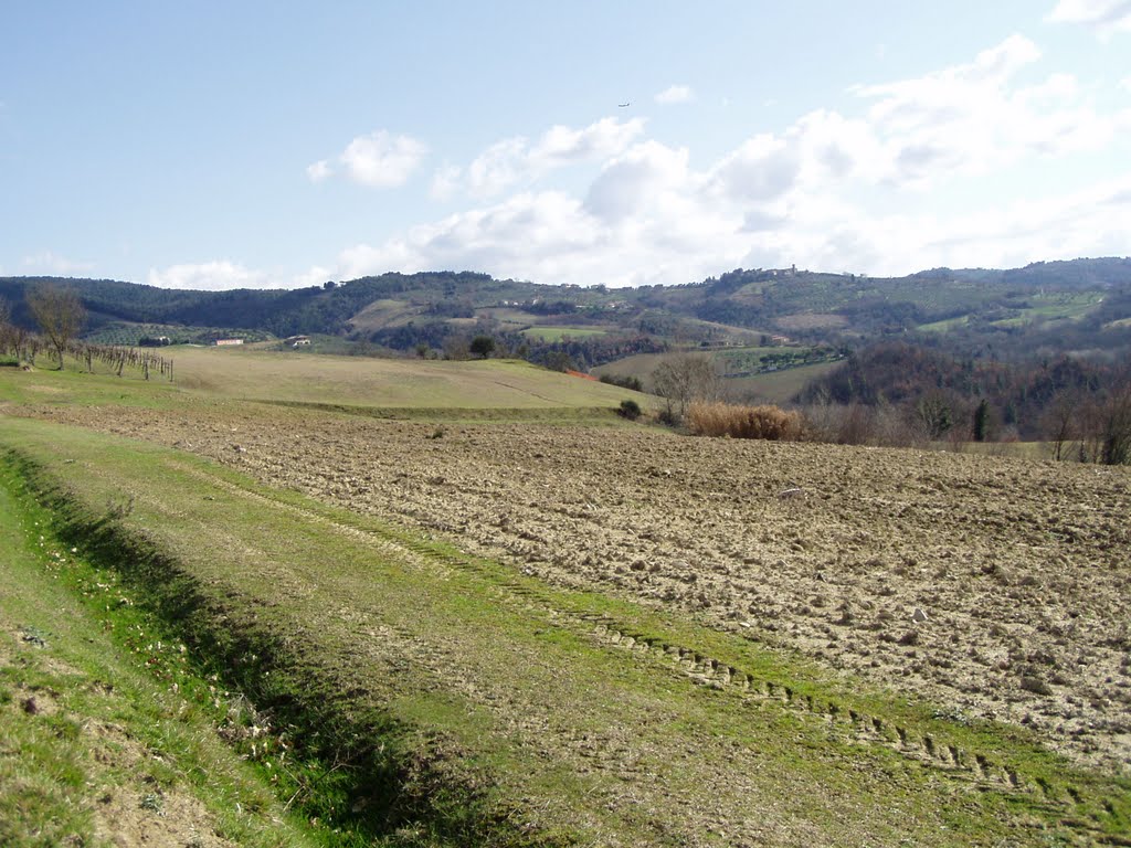 Vocabolo "Il Palazzone"