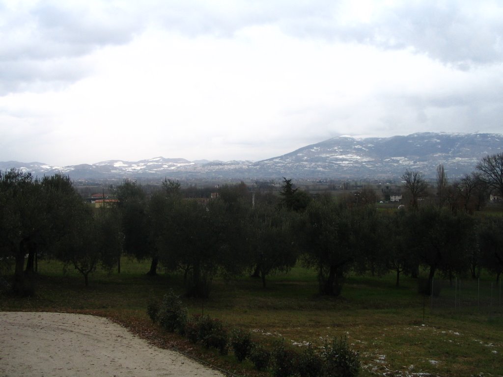 Assisi innevata vista da Cannara 2
