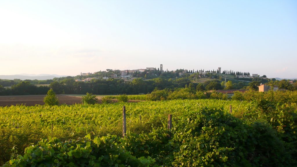 Nel verde paesaggio