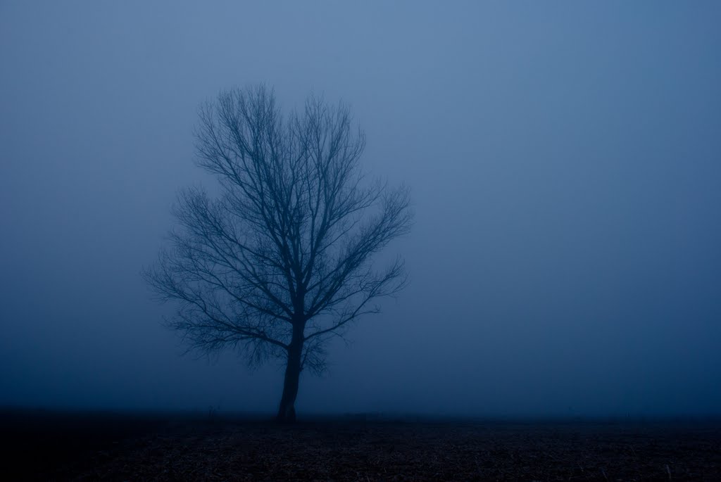Nebbia allalba