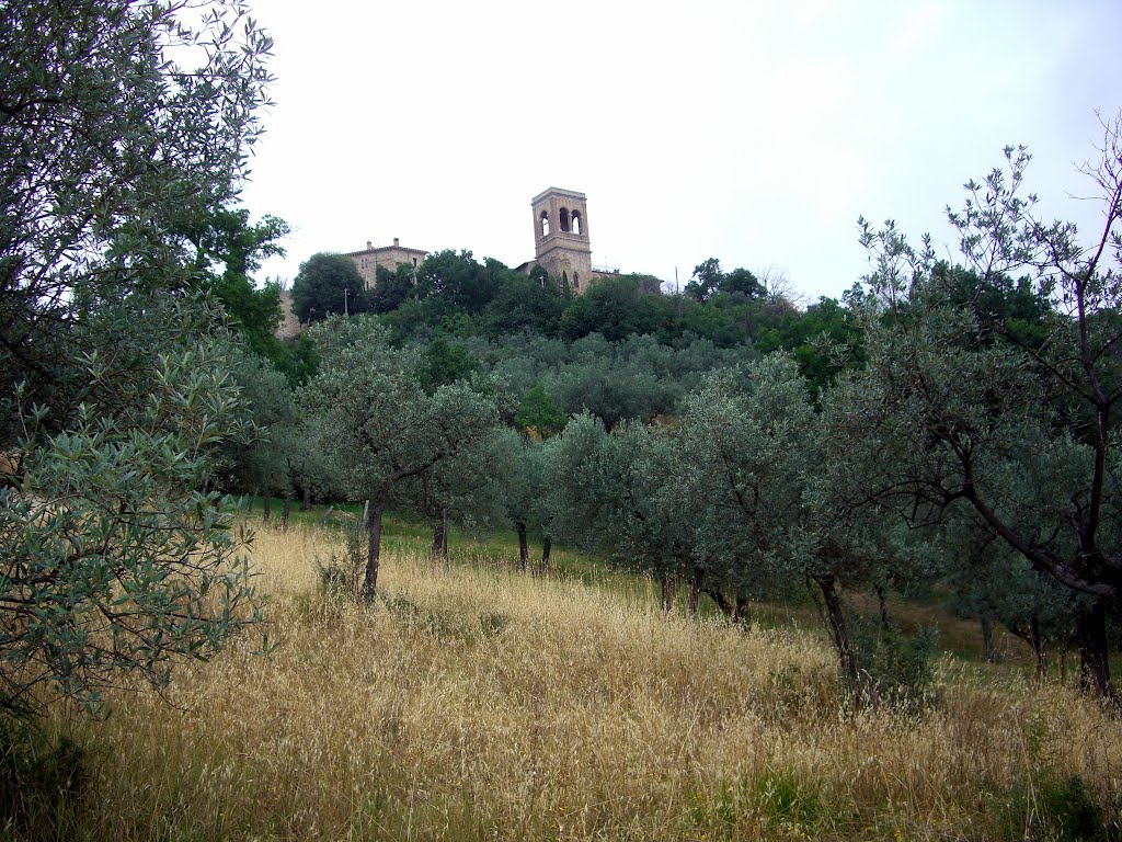 Gualdo Cattaneo
