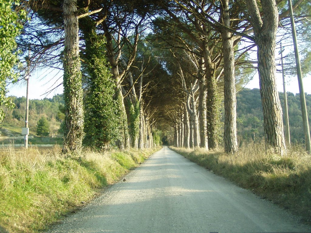 Strada della "Montagnola"