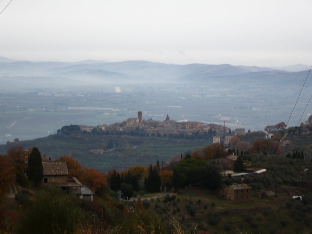 Bettona