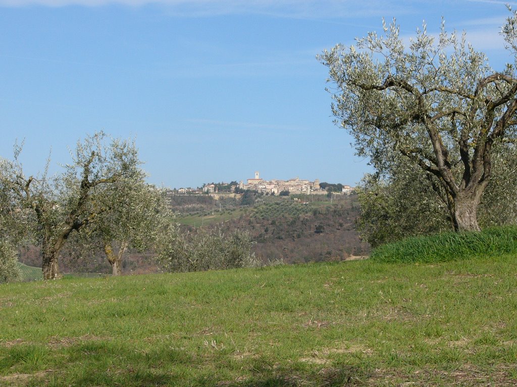 Collazzone - Panorama