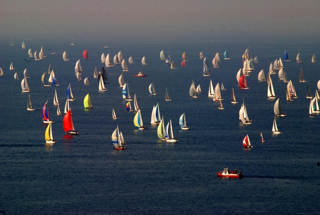 barcolana