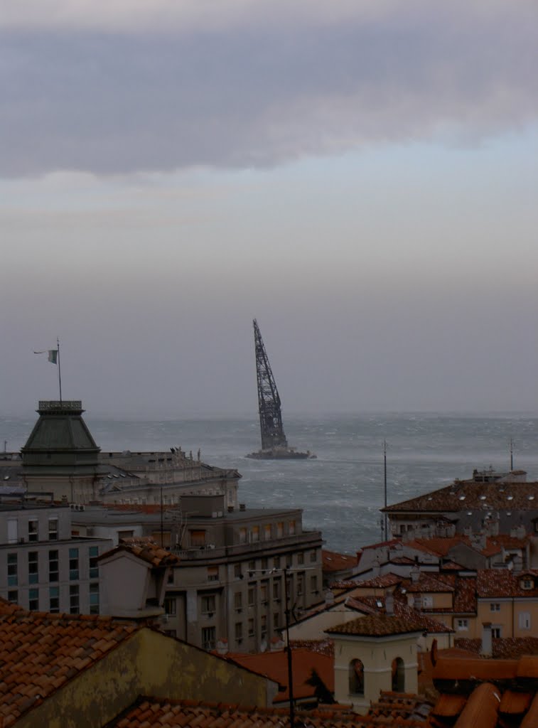"Ursus" - where are you going alone? (no people on board, wind broked ropes)