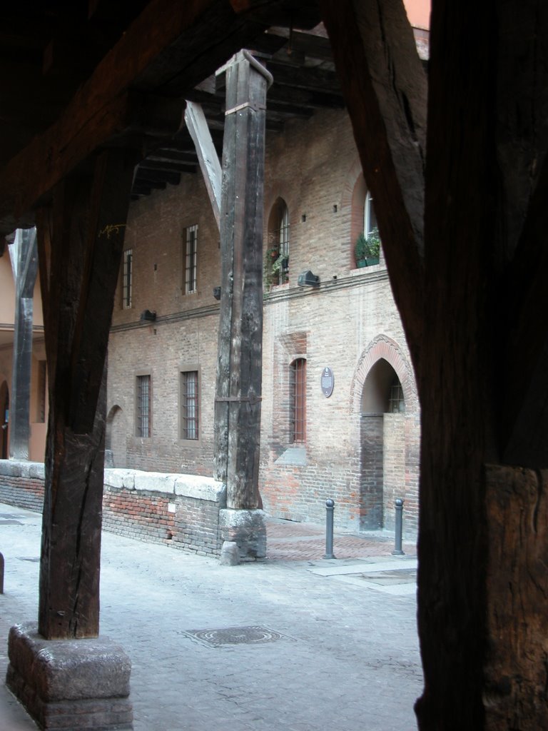 Palazzo Grassi in Via Marsala: Medio Evo a Bologna