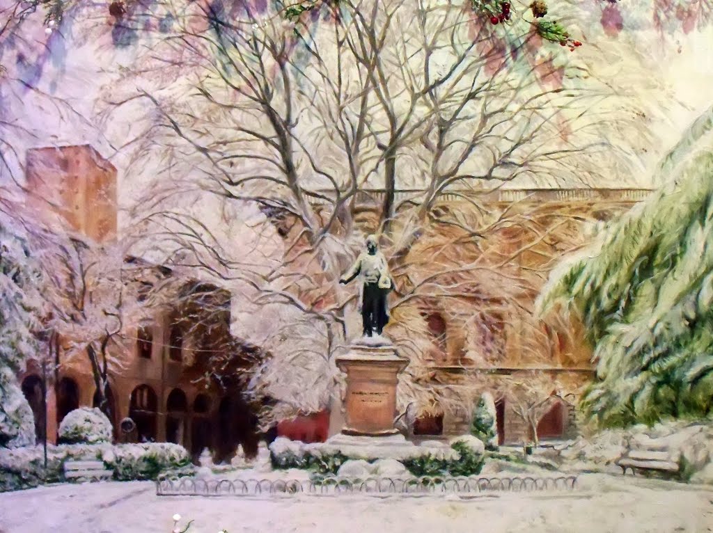 ✱ ✱ Comera Piazza Minghetti ✱ ✱