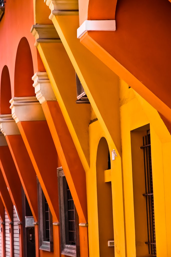 Bologna.