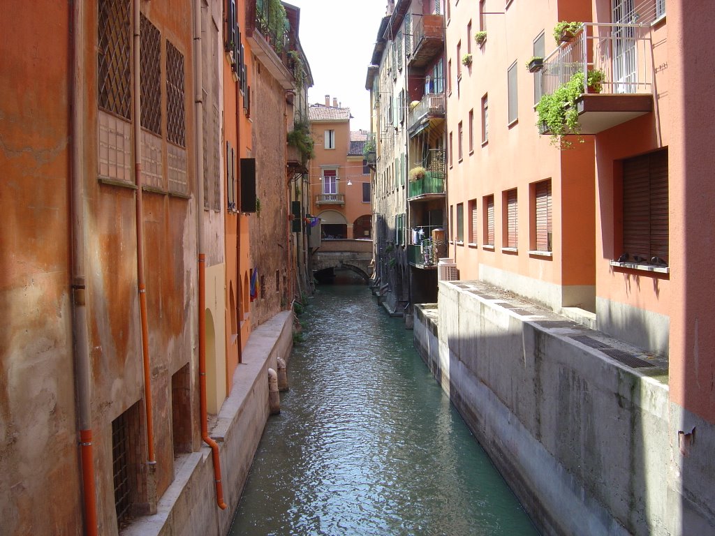 Bolonya Canale delle Moline