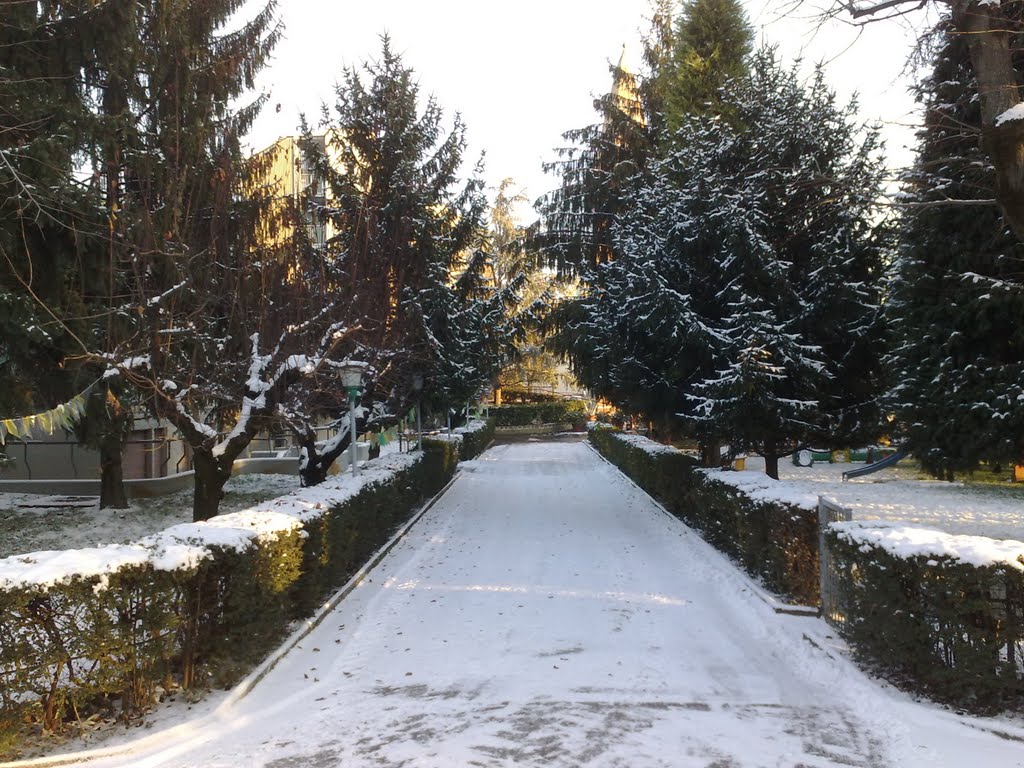 Vialetto dinverno