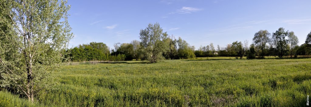 Parco Divisione Acqui, Modena