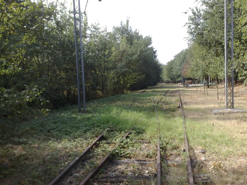 Ferrovia dismessa.. Ciclabile futura?