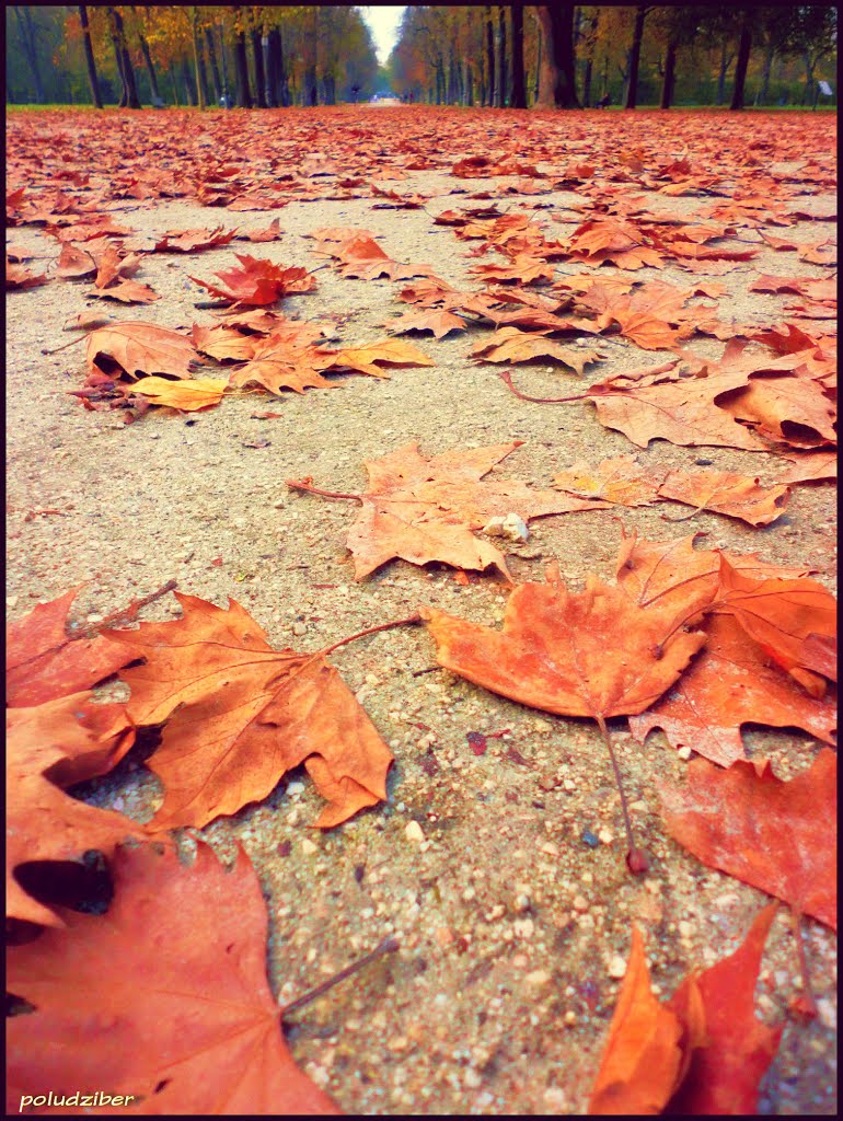 fallen