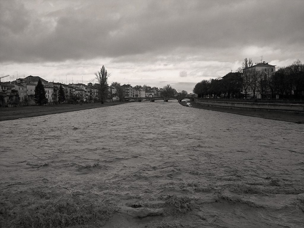 Torrente Parma, Dicembre 2005