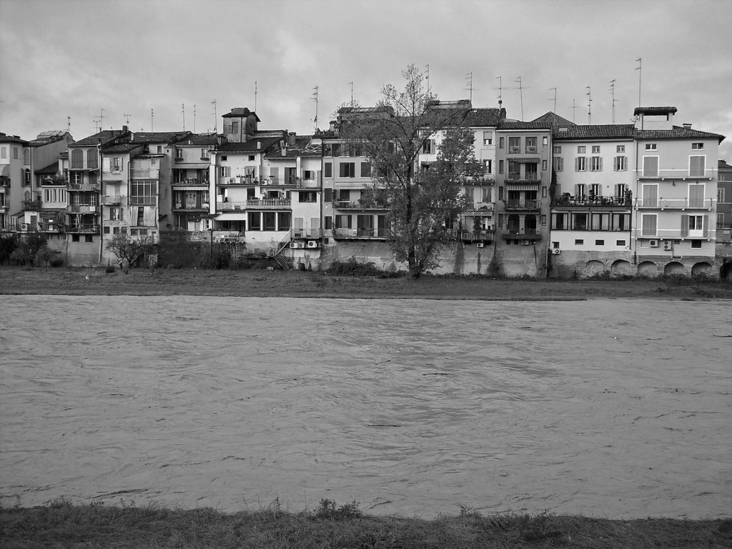 Parma