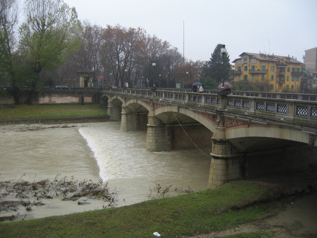 NO CARBONE Parma Italy were killing our planet and its climate change will make the sea join Parma in year 2040