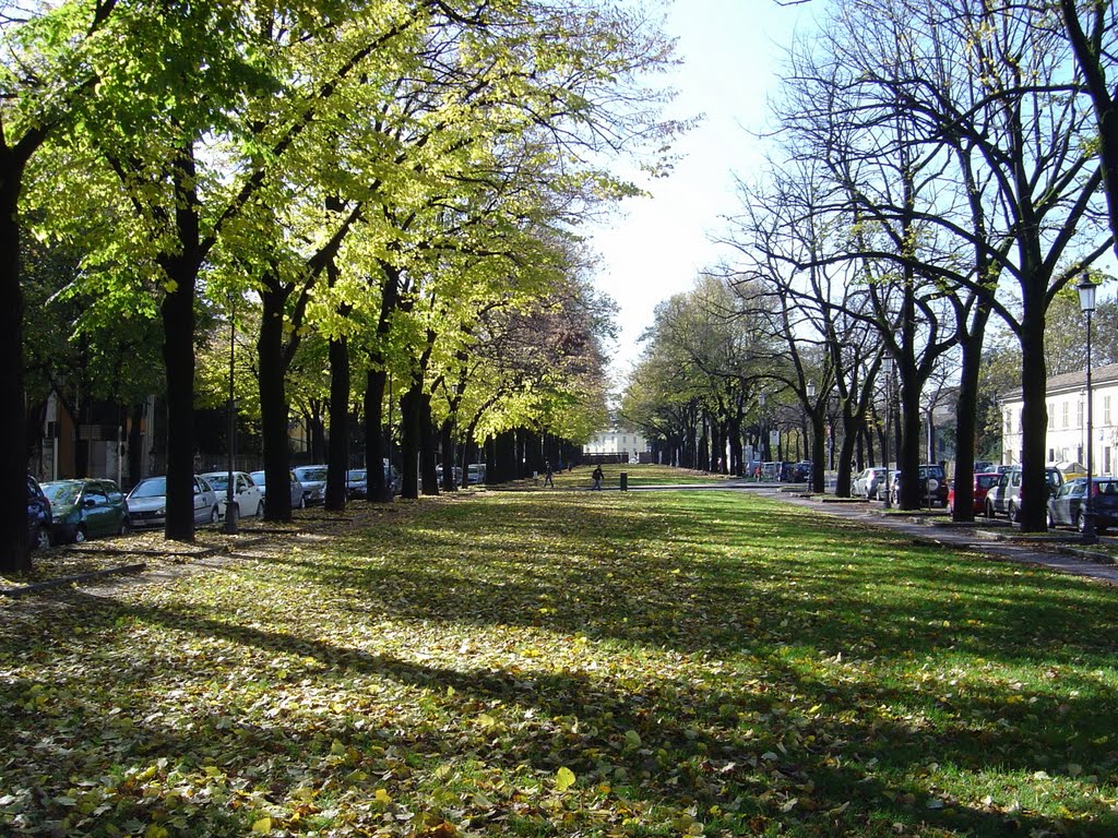 Viale Pier Maria Rossi - Parma