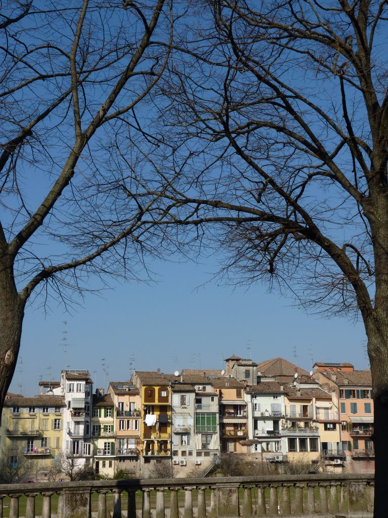 fette di vita