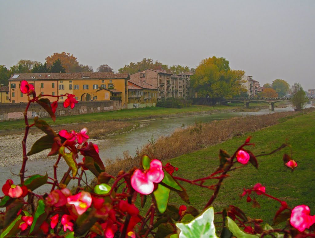 ITA Parma [Parma] from Ponte di Mezzo by KWOT