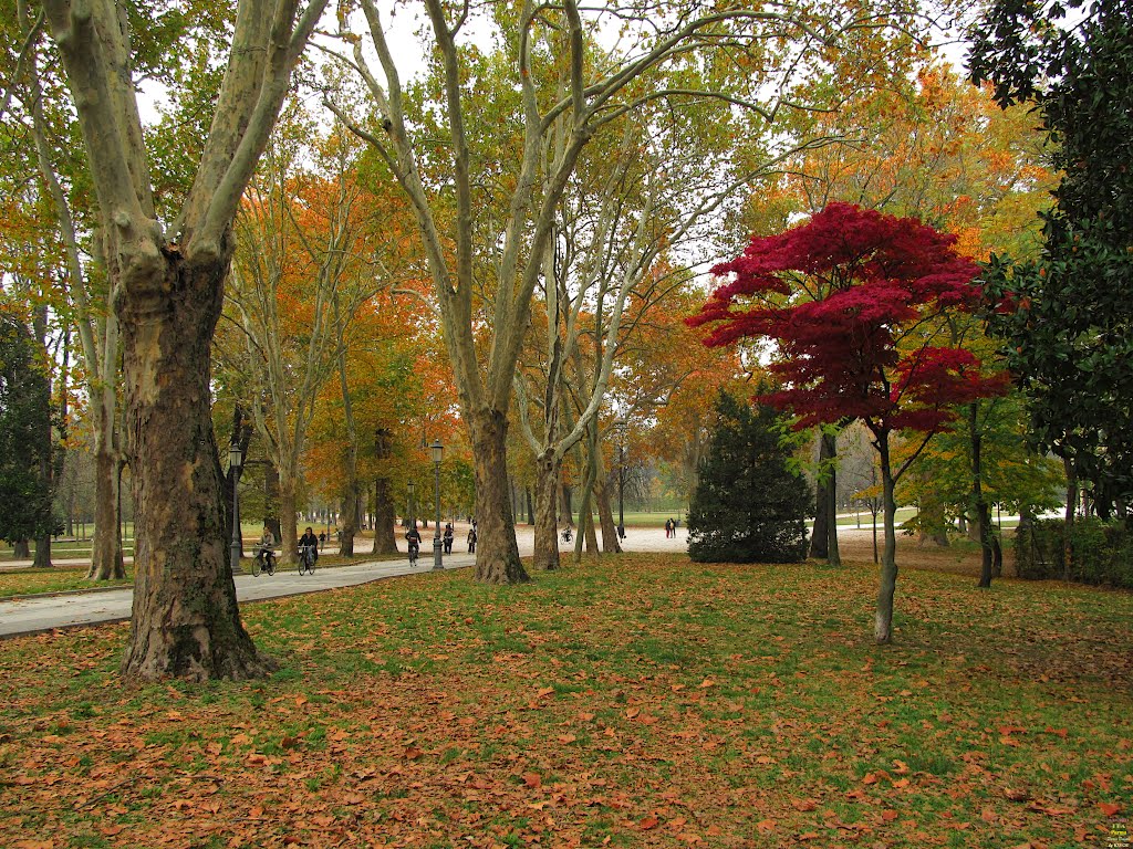ITA Parma Parco Ducale by KWOT {Subtitle: Blooddrop in Colourfulicity by nausga + KWOT}