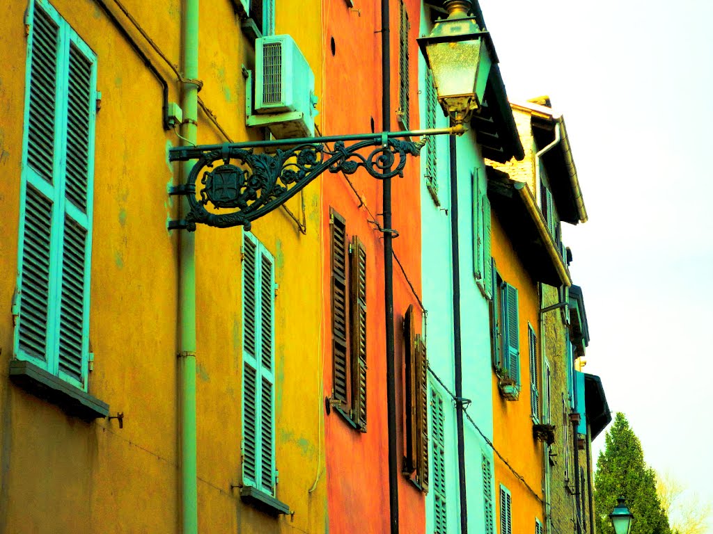parma