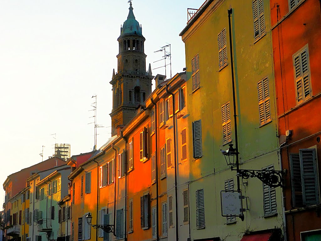 parma