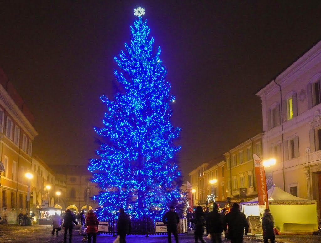 Natale a Ravenna: lalbero in Piazza del Popolo