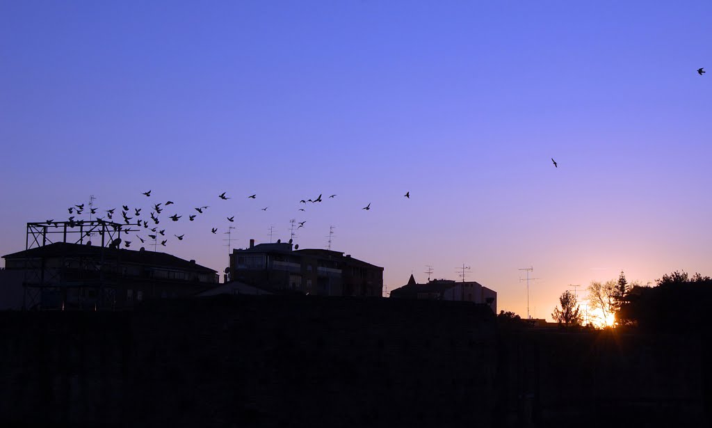 Tramonto sulla Rocca Brancaleone (RA)