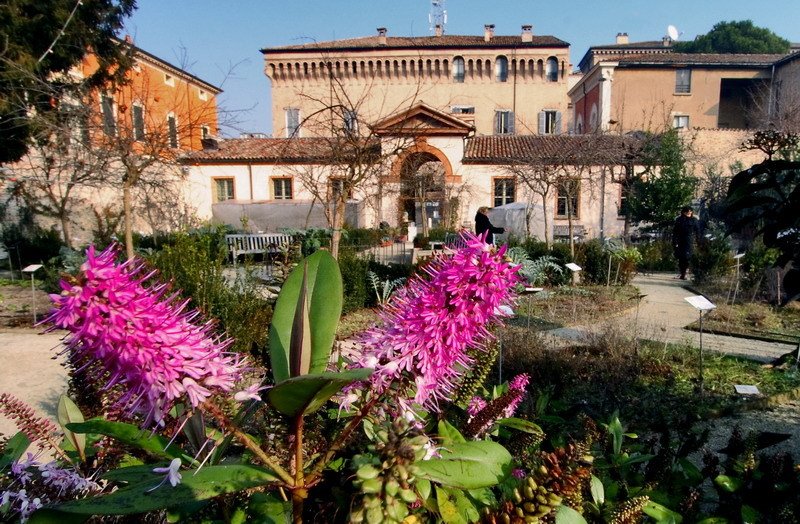 Ravenna- Orto Botanico