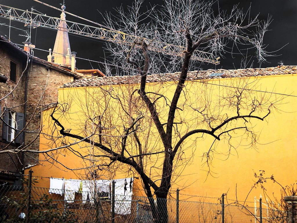 Spilamberto, Via Monache