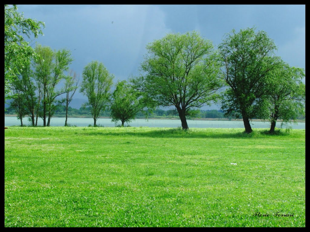 che  verde dopo il temporale!