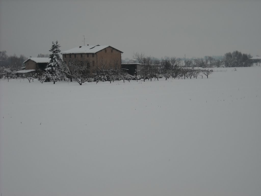 winter landscape