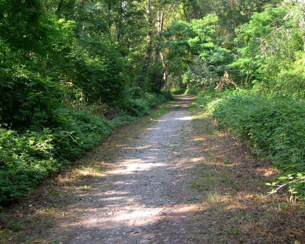 sulla pista ciclabile