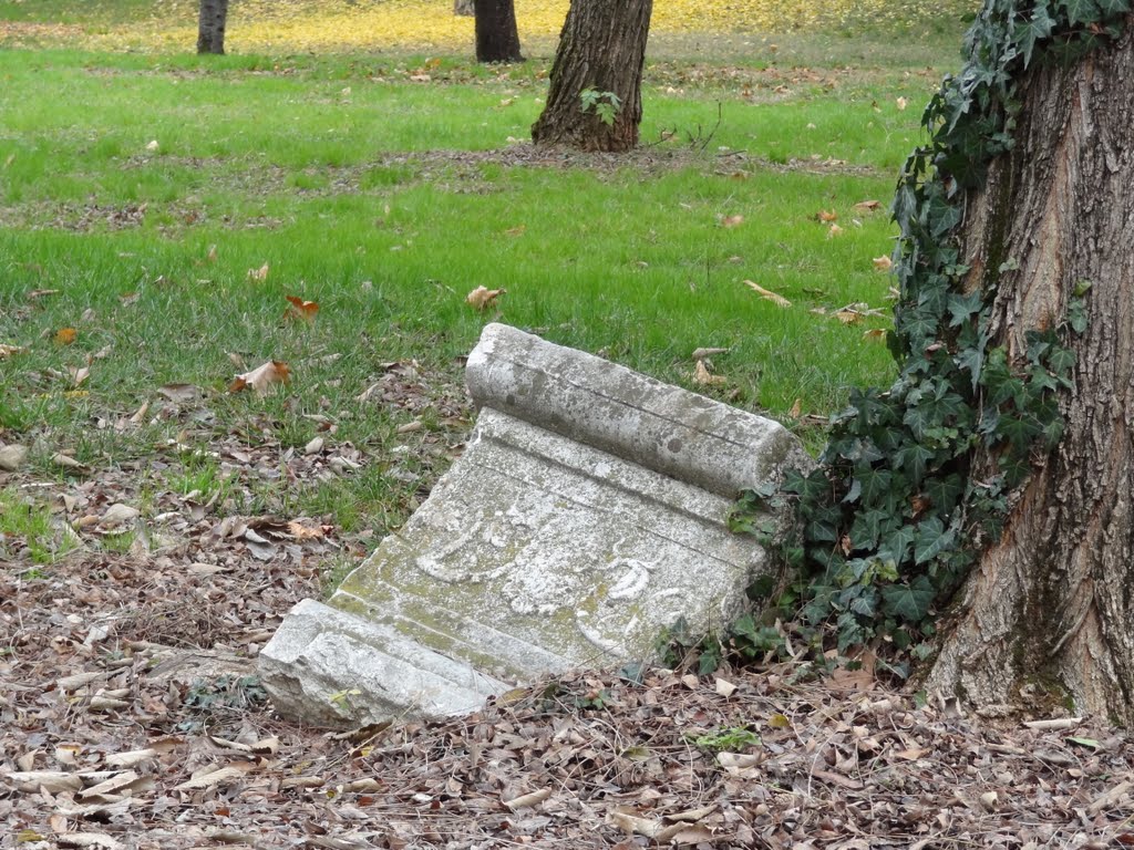 una briciola di storia.