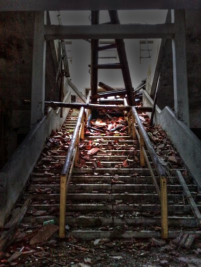Collapse scale