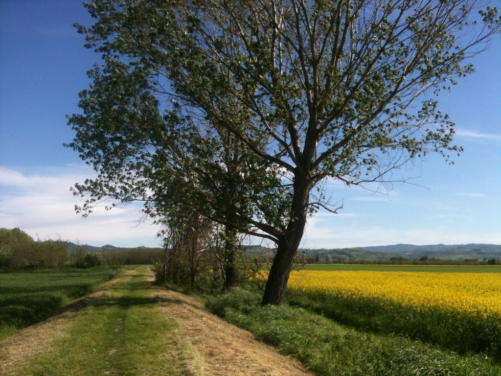 Ciclabile Panaro