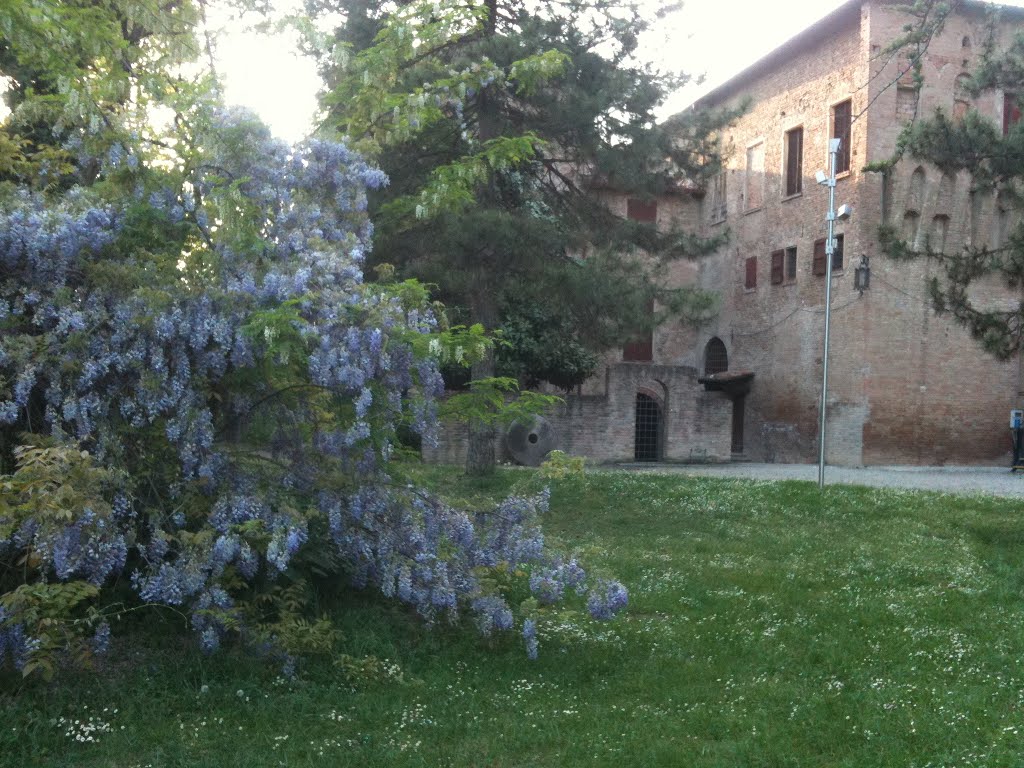 I Glicini di Rocca Rangoni