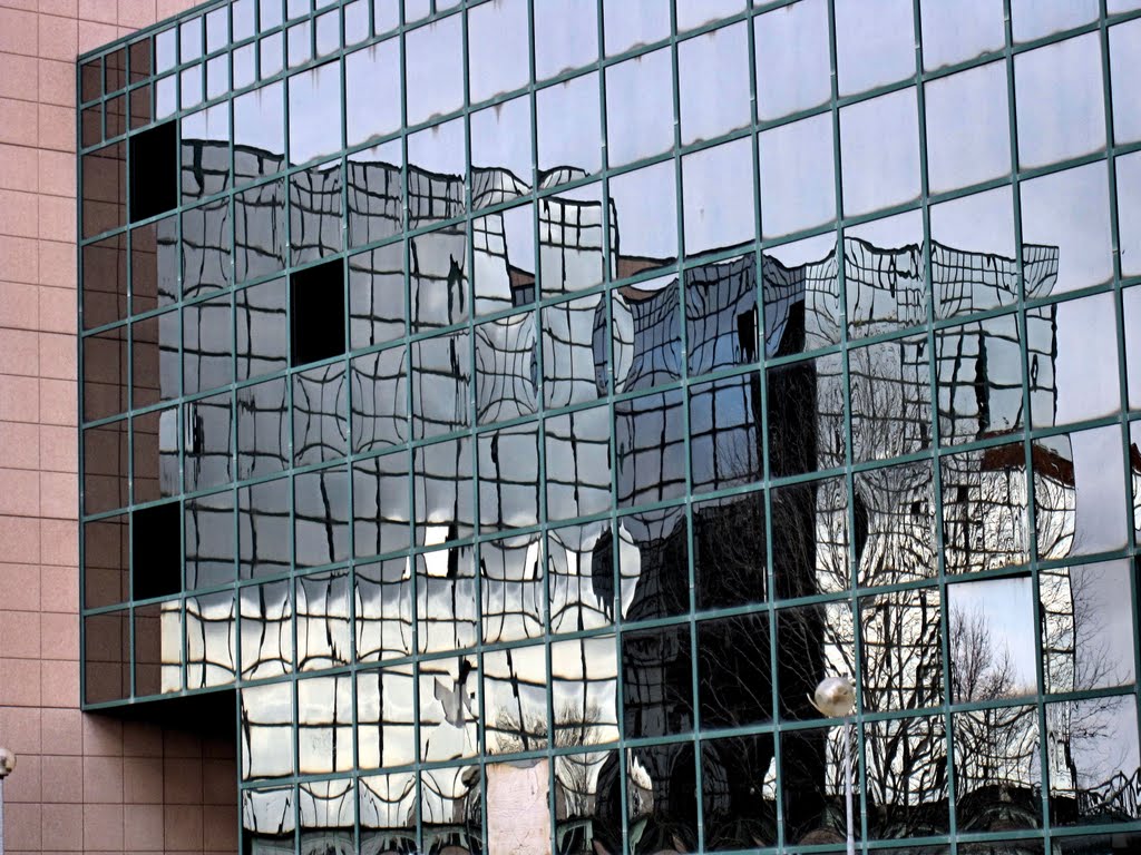 #80 - Gli specchi deformano gli specchi - the deformation of mirrors